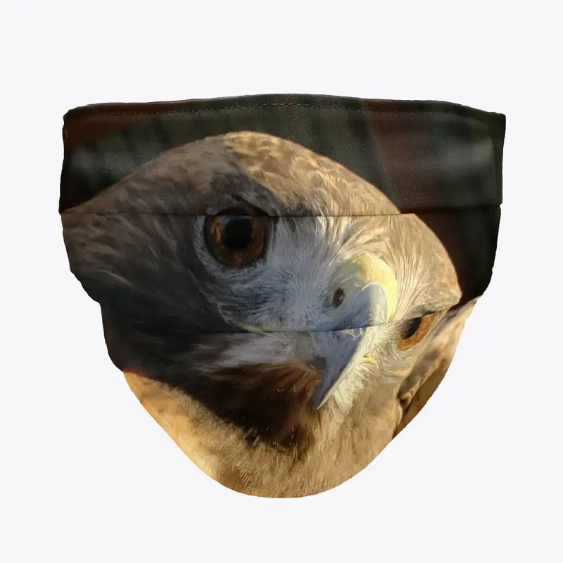 Red-Tailed Hawk Mask