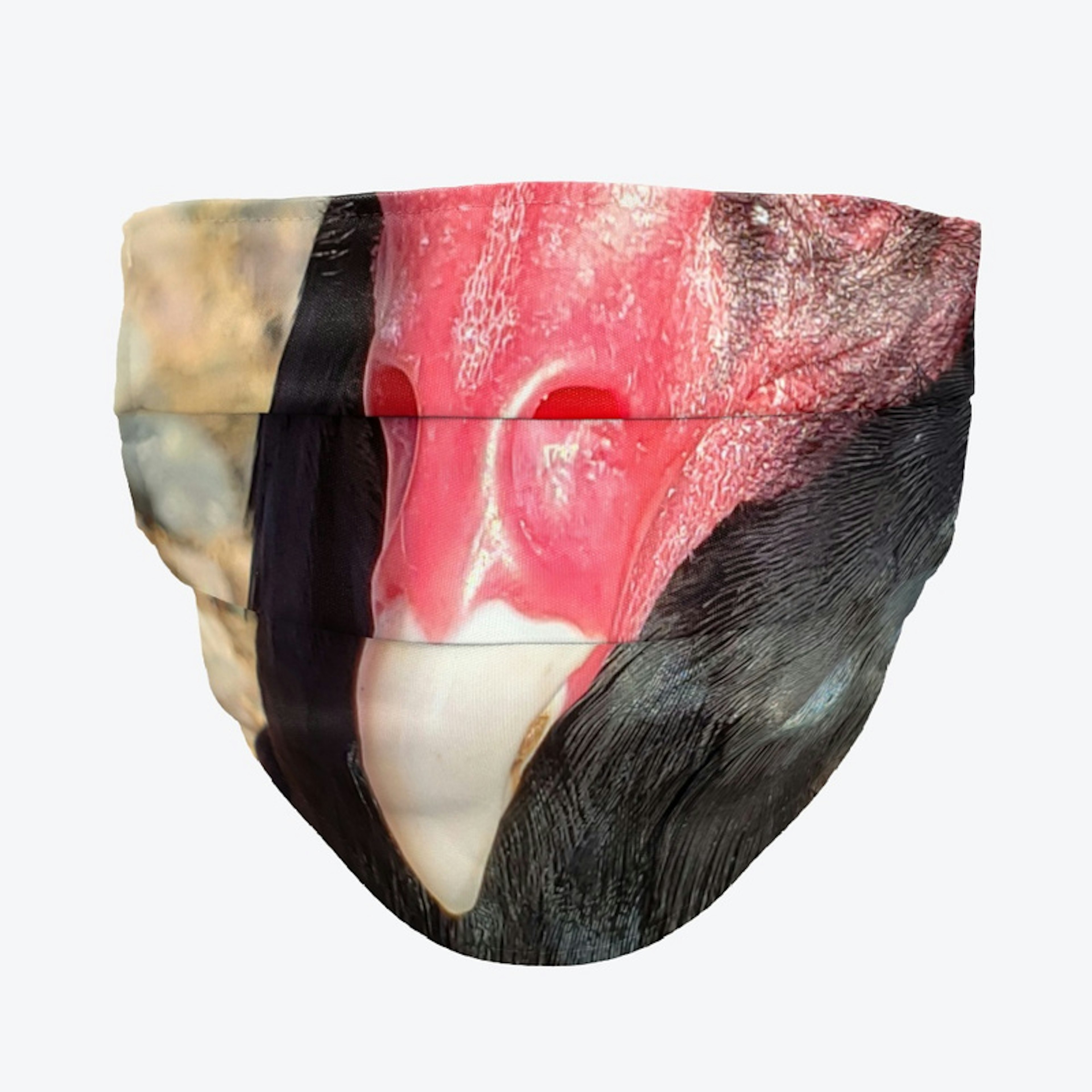 Beak Mask - Turkey Vulture