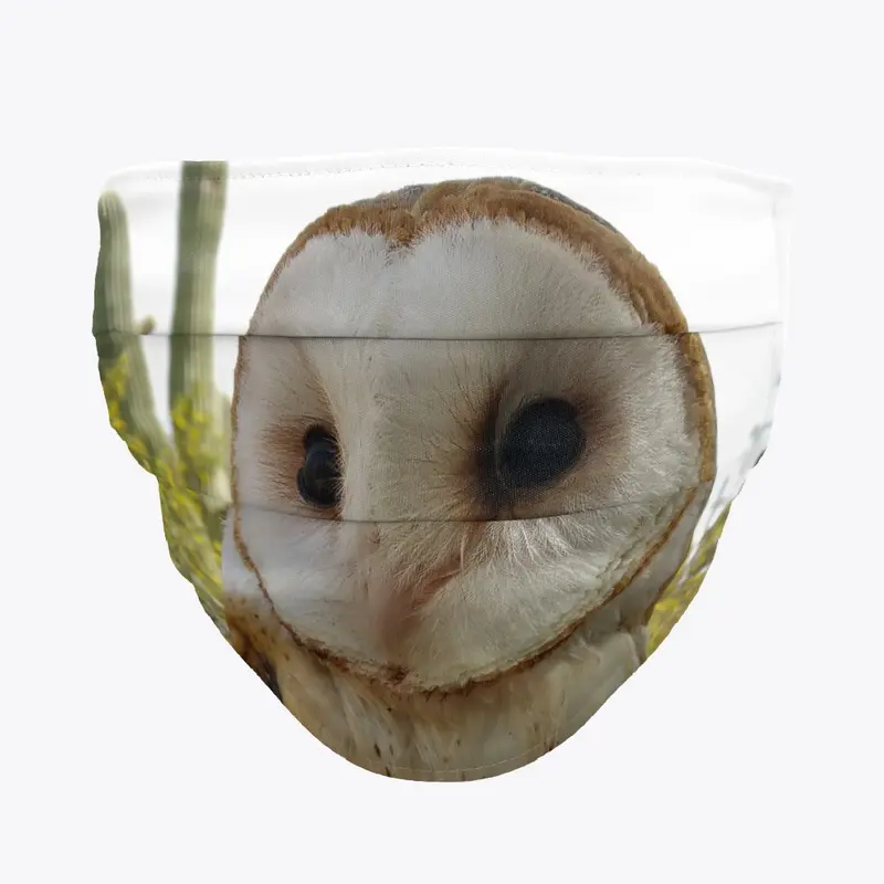 Barn Owl Mask