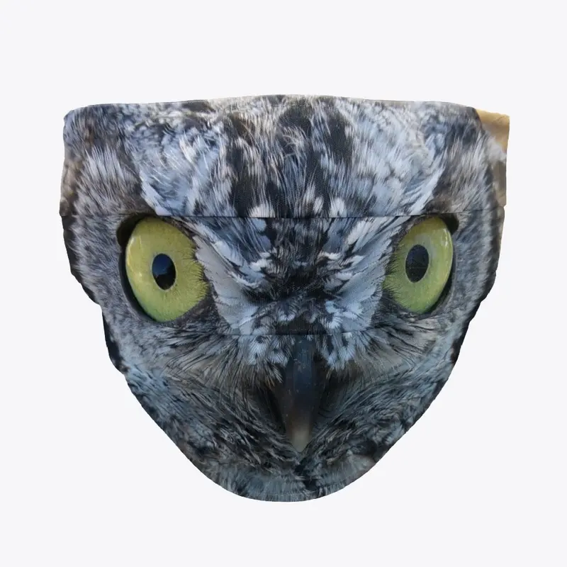 Screech Owl